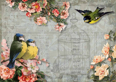 DECOUPAGE QUEEN DECOUPAGE PAPER - CHICKADEES AND ROSES WITH BRIDCAGE 025