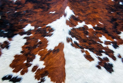 COWHIDE ROCYCLED DECOUPAGE TISSUE PAPER