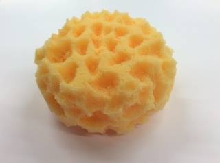 Textured Sponge